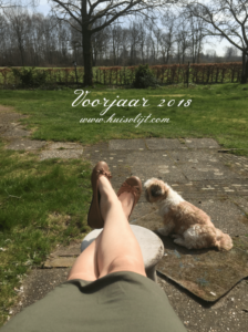 voorjaar 2018