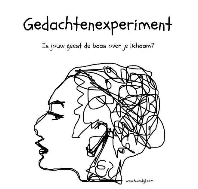 experiment