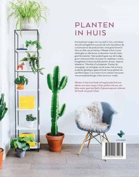 planten in huis van Sophie Lee