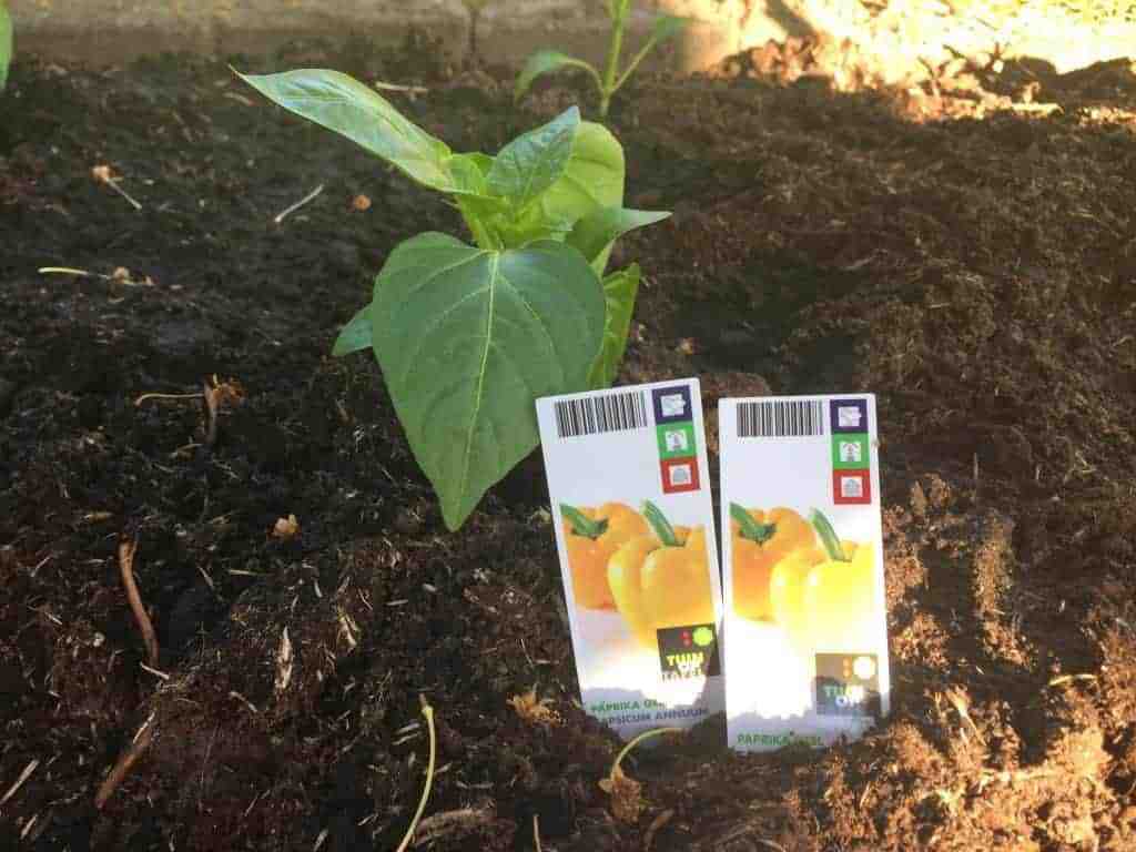 eigen moestuin