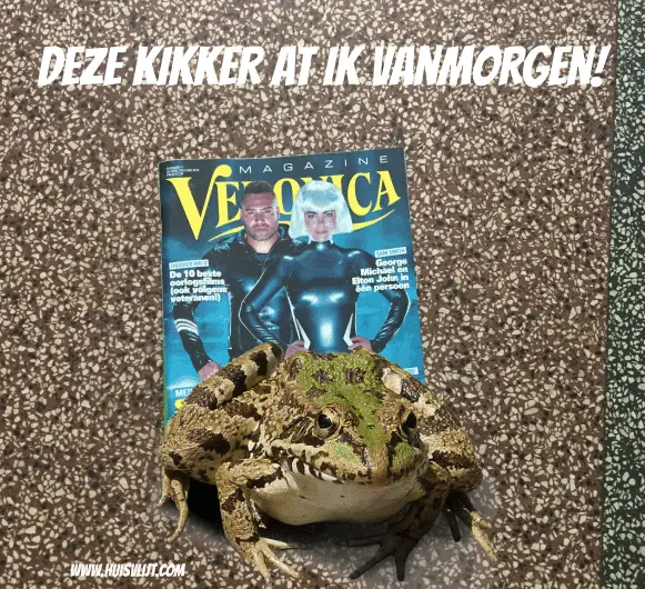 Deze kikker at ik vanochtend!