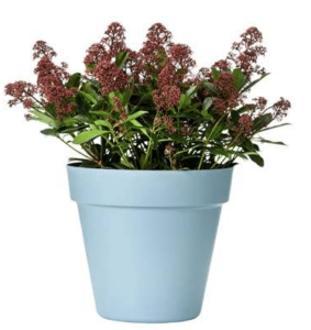 tuinmeubelen Leenbakker