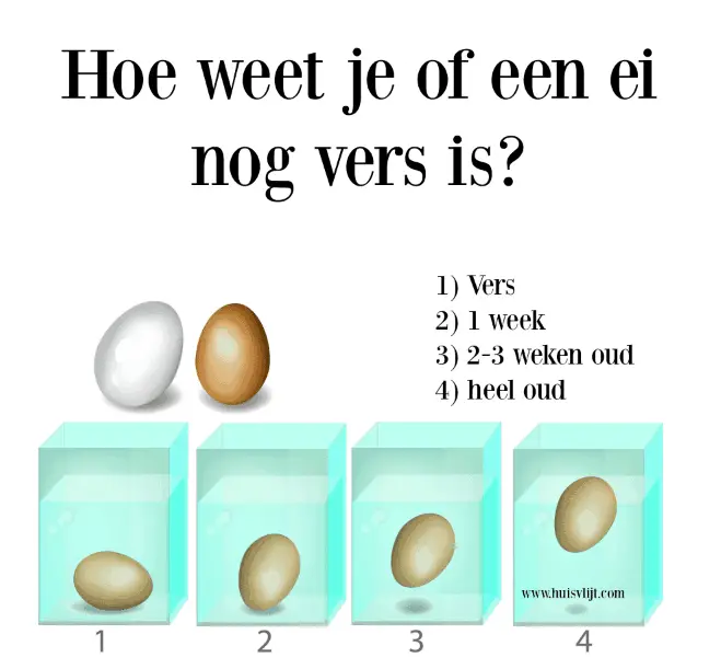 Hoe controleer je versheid ei?