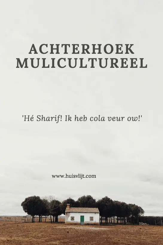multicultureel