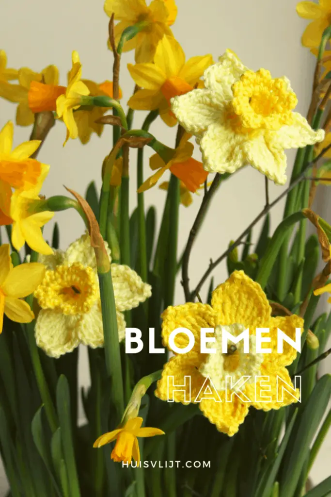 Bloemen haken: De mooiste bloembollen in bloei