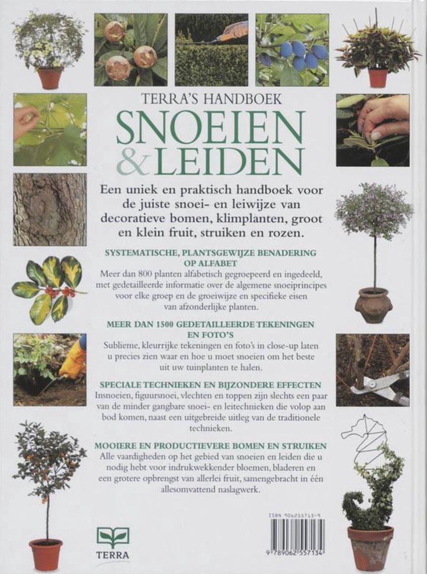 Snoeien: wat, wanneer en hoe? 1 snoeien en bloeien