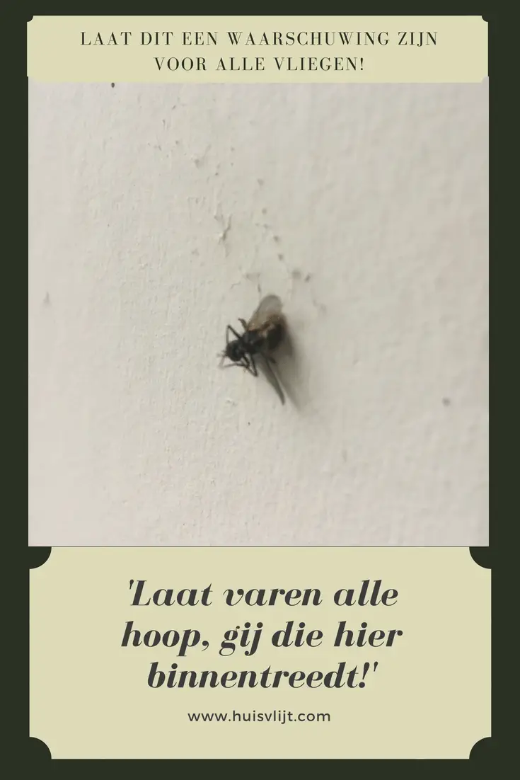 Ook zo’n last van vliegen?
