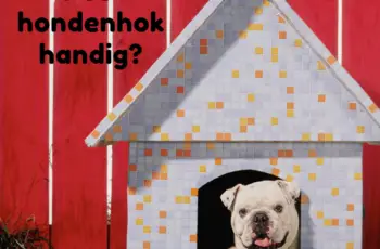 Wanneer heb je eigenlijk een honden hok nodig voor je hond? + 7 aandachtspunten