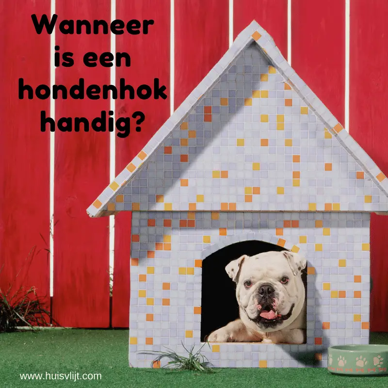 Wanneer heb je eigenlijk een honden hok nodig voor je hond? + 7 aandachtspunten