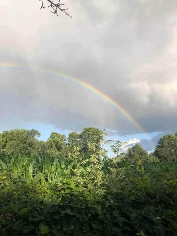 Regenboog achterhoek