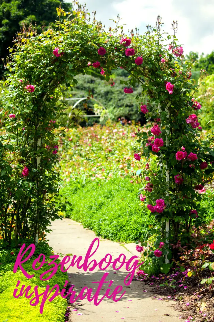 rozenboog inspiratie