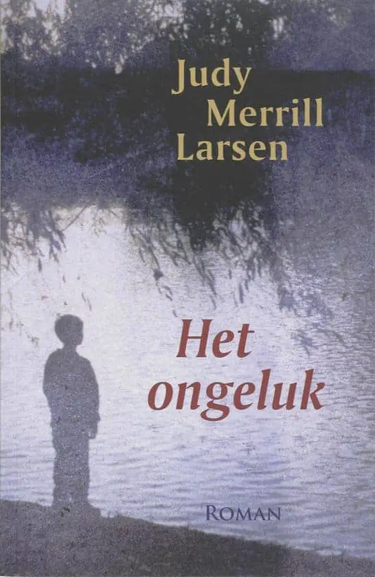 het ongeluk