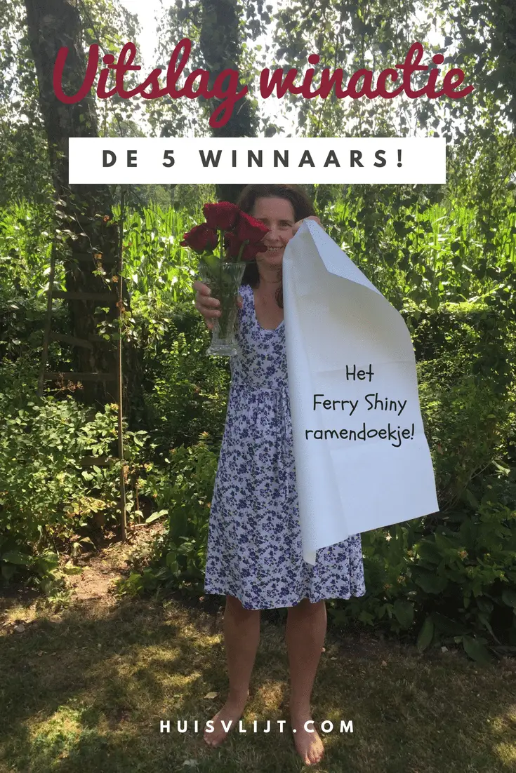 Uitslag winactie: de 5 winnaars van het Ferry Shiny Ramendoekje 1 uitslag winactie huisvlijt