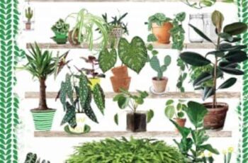 My Green House; Het hippe handboek om groene vingers te krijgen