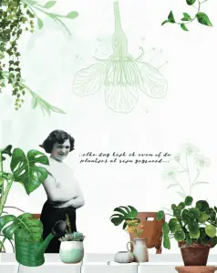 My Green House; Het hippe handboek om groene vingers te krijgen 4 my green house