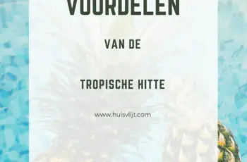 Voordelen van de tropische hitte