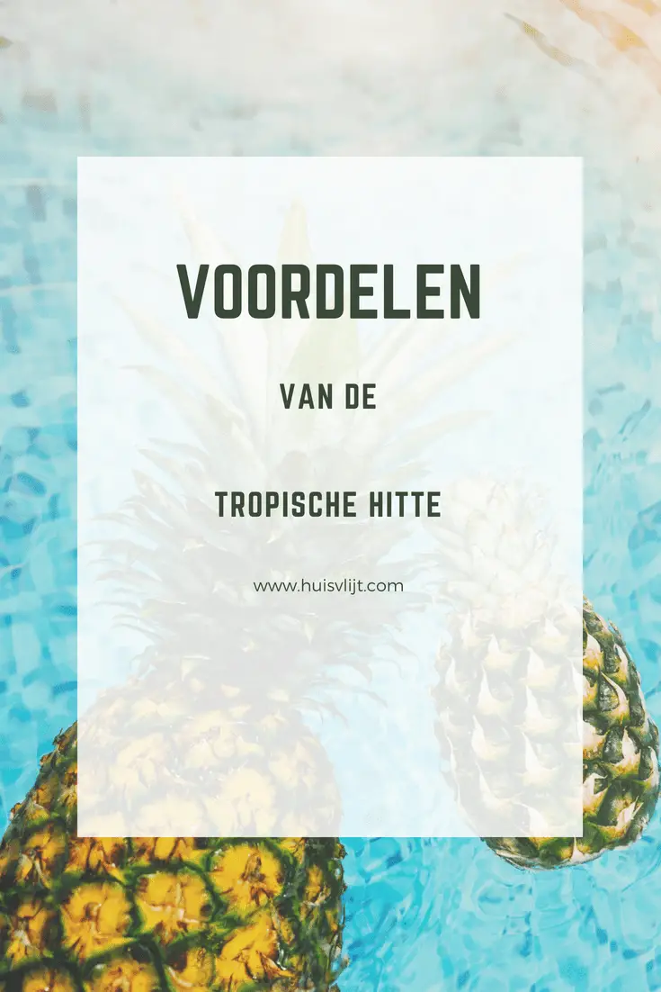 Voordelen van de tropische hitte