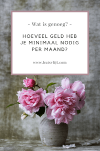 basisbehoeftesbudget