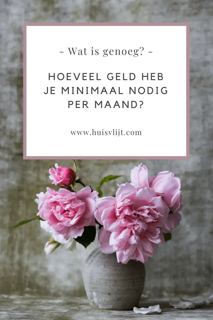 Hoeveel leefgeld heb je minimaal nodig per maand?