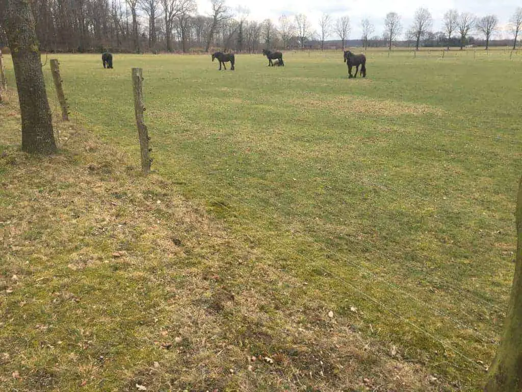 Geluiden van het platteland