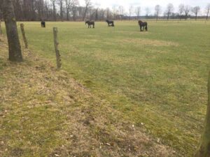 geluiden van het platteland