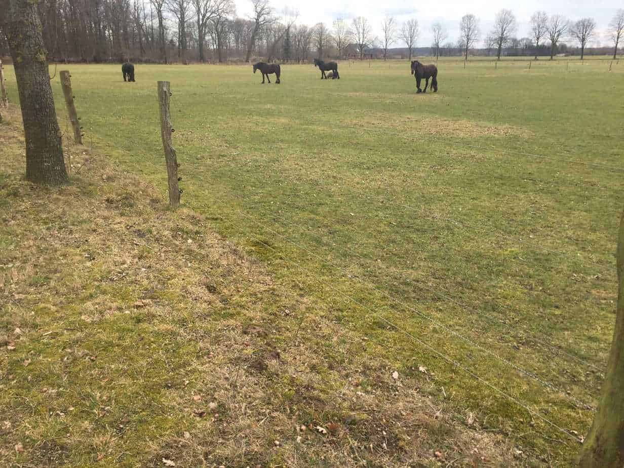 geluiden van het platteland