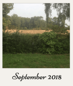 mais 2018