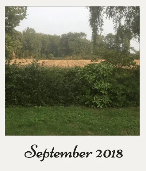 mais 2018