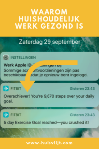 huishoudelijk werk