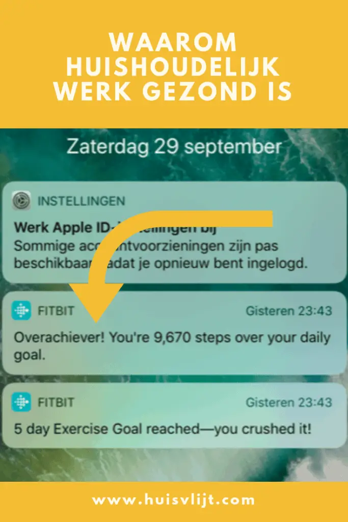 huishoudelijk werk