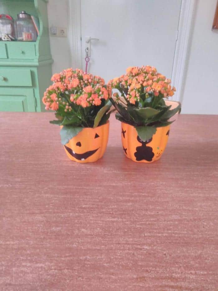Lidl bloempot Halloween