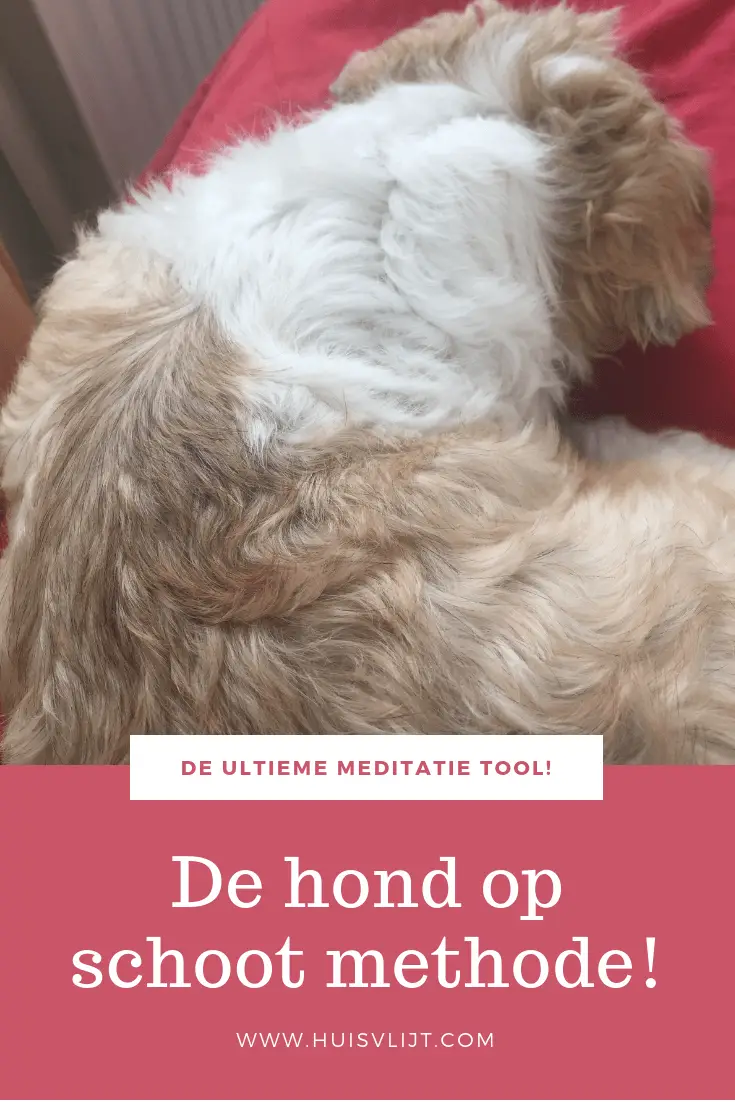 Rustig zitten, anders is het zielig voor de hond