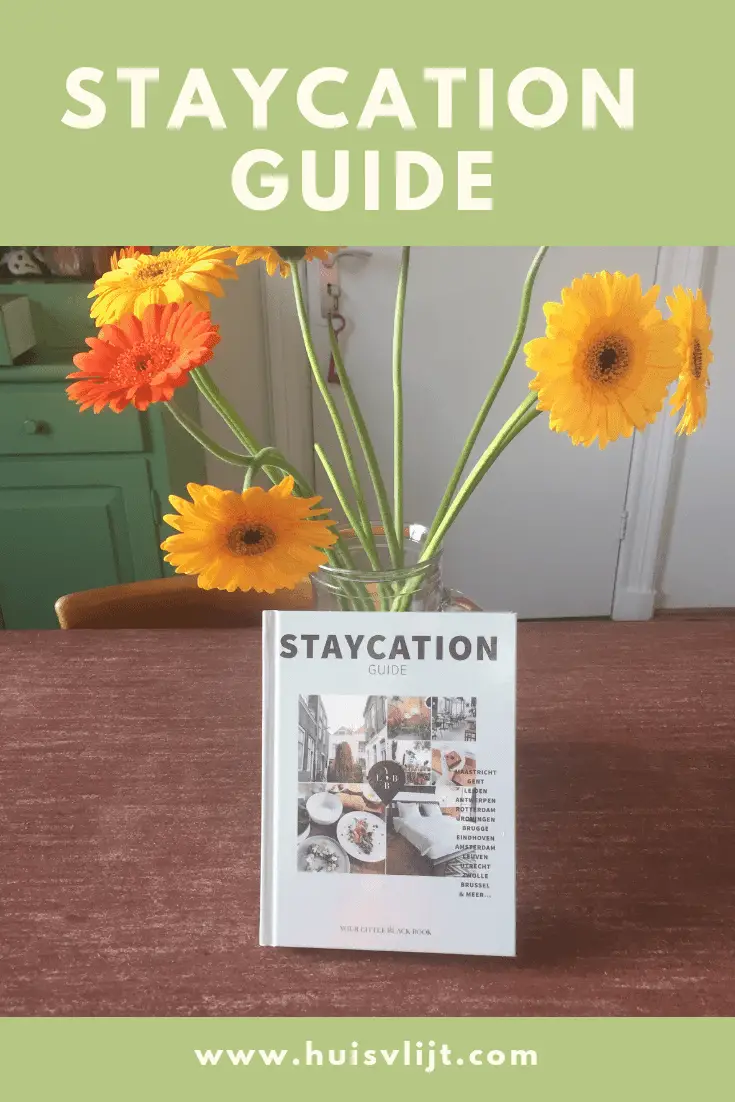 Staycation Guide van Anne de Buck: review