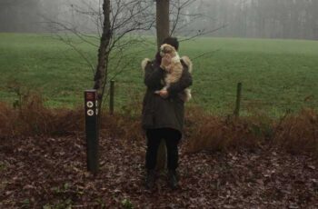 Wandelen tijdens een grijze Kerstmis