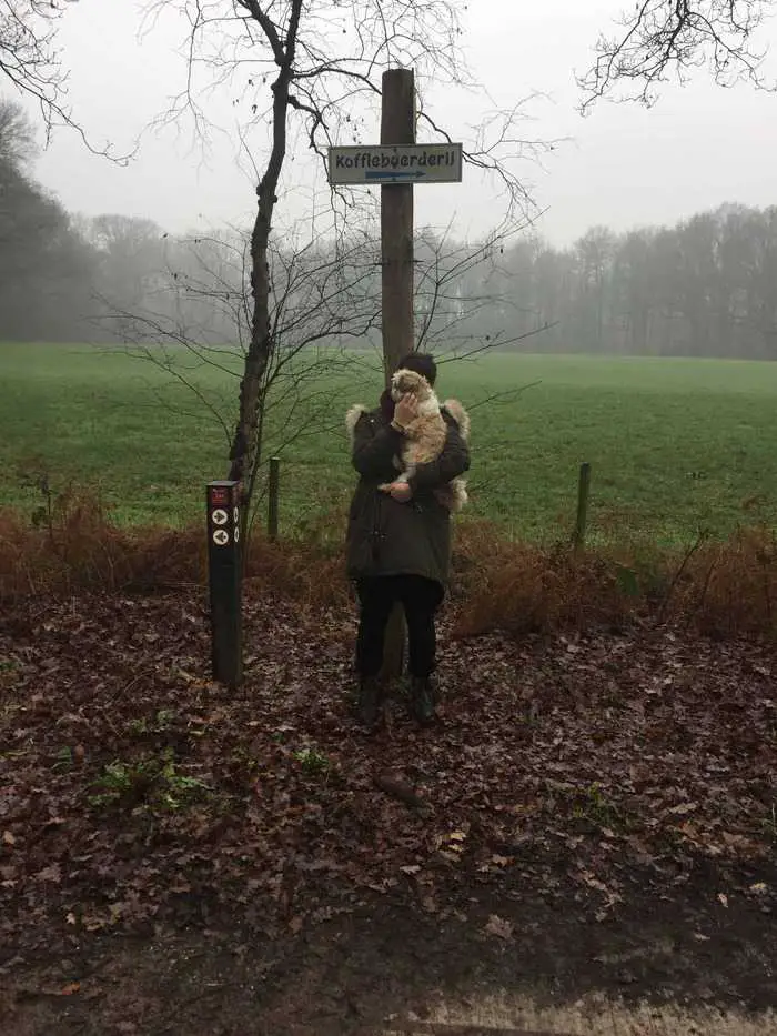 Wandelen tijdens een grijze Kerstmis