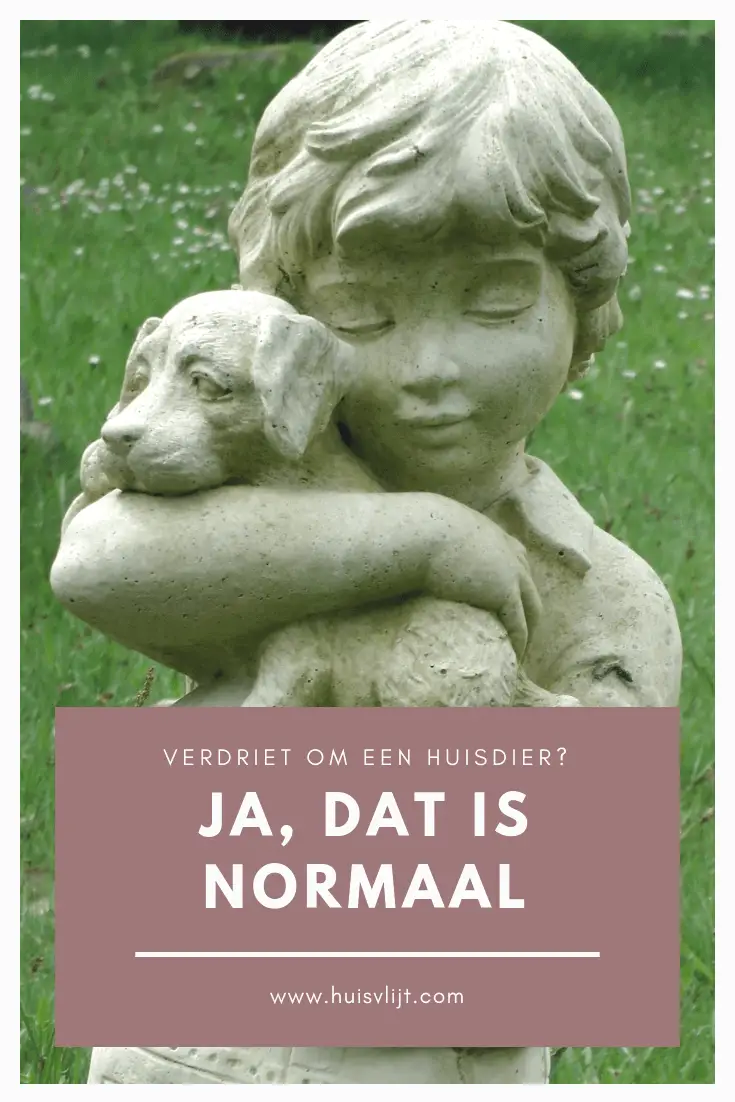 Verdriet om een huisdier? Ja, dat is normaal.