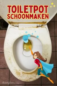 toiletpot schoonmaken