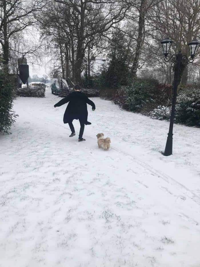hond uitlaten in de sneeuw