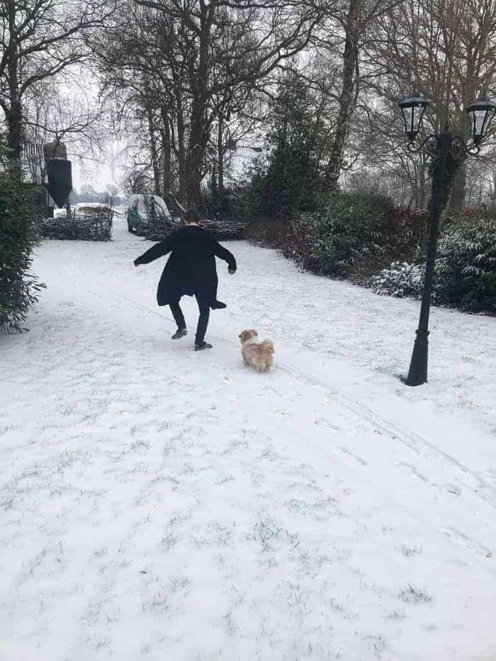 Hond uitlaten in de sneeuw. Op crocs.