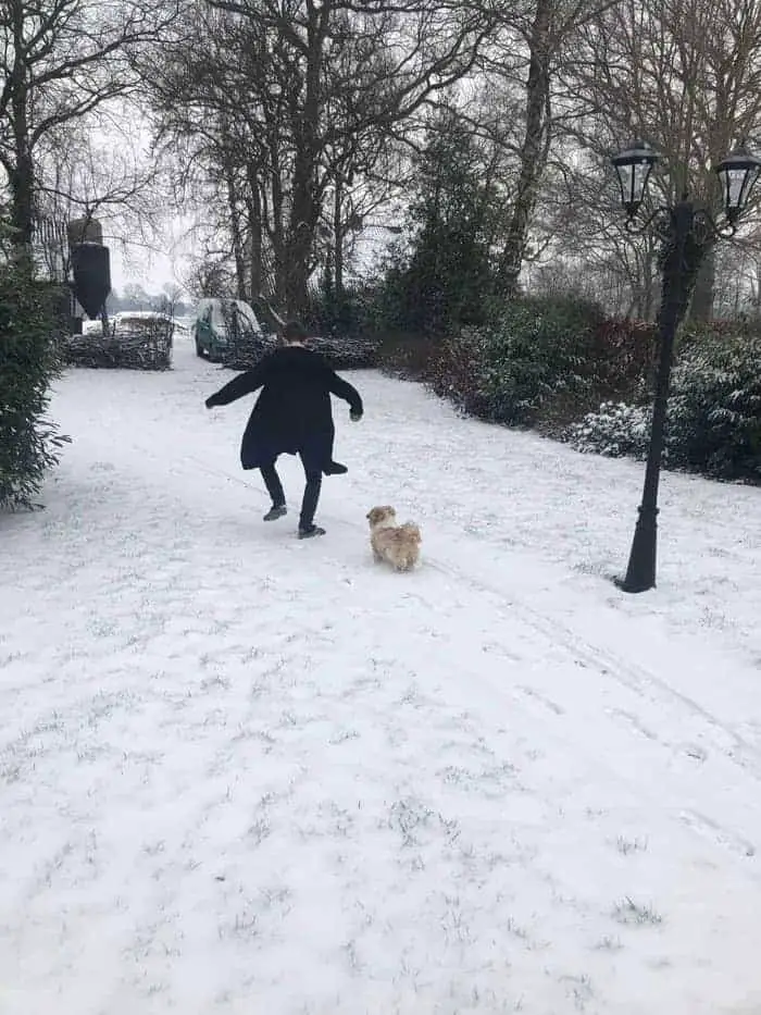 Hond uitlaten in de sneeuw. Op crocs. 4 Hond uitlaten in de sneeuw. Op crocs.