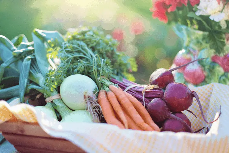 tuinideeën