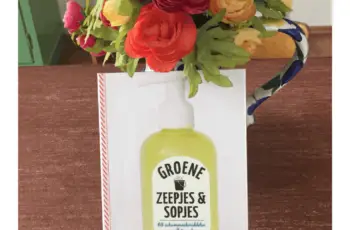 Zelf schoonmaakmiddel maken met Groene zeepjes & sopjes