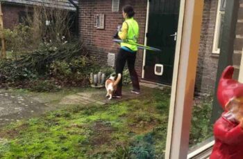 Paparazzi, alweer.