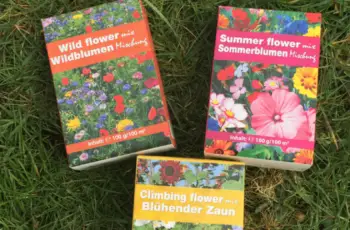 Een Zomerbelofte