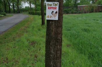 Waarschuwing op de weg!