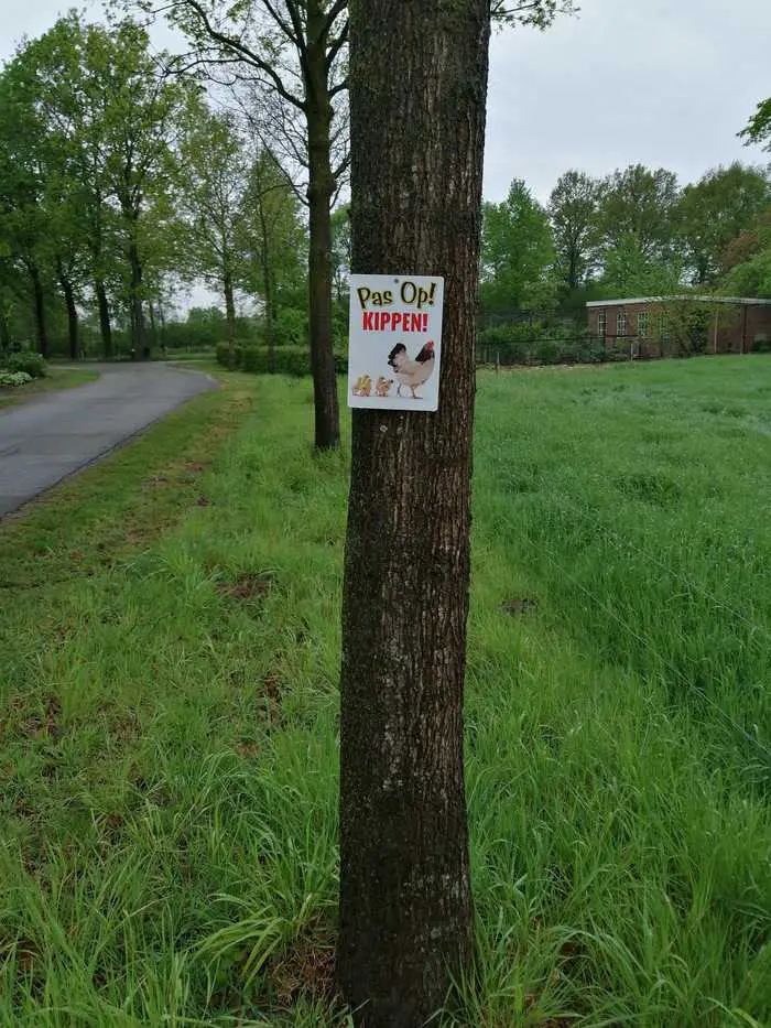 Waarschuwing op de weg!