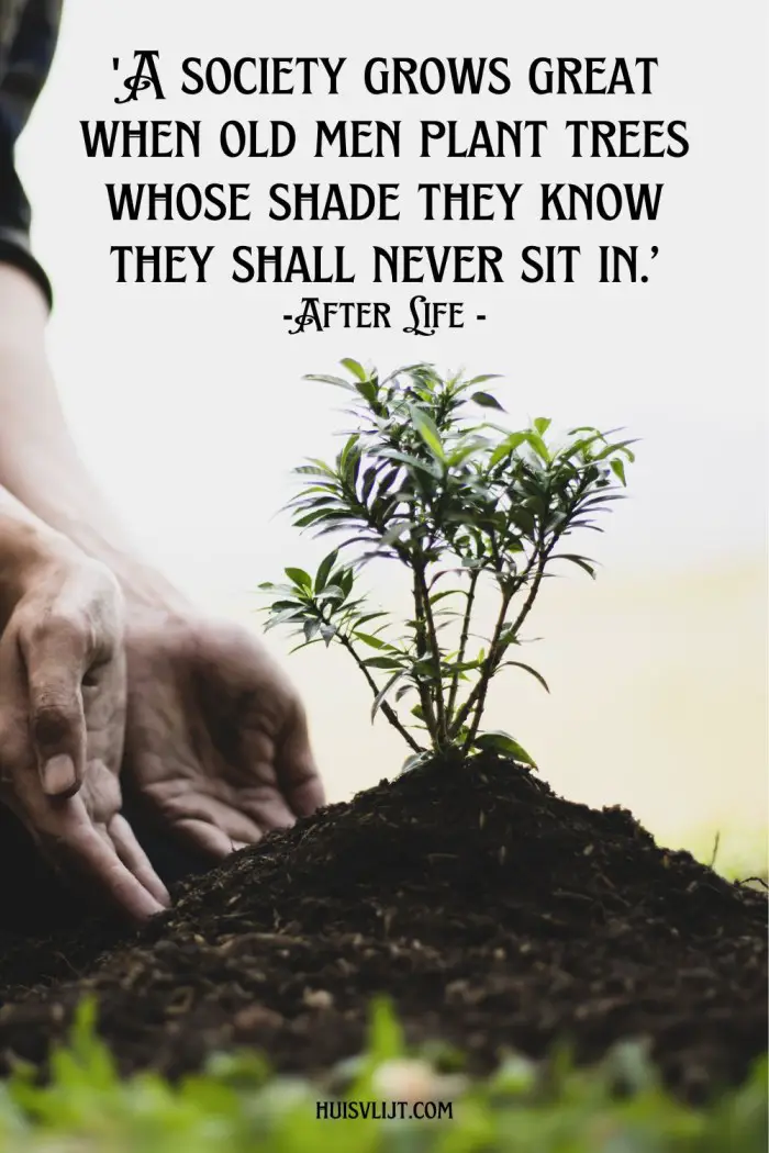 after life series quotes