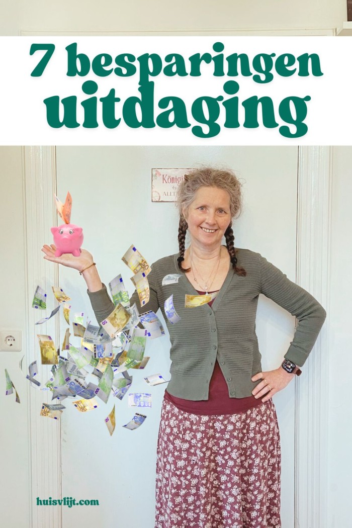 besparingen uitdaging