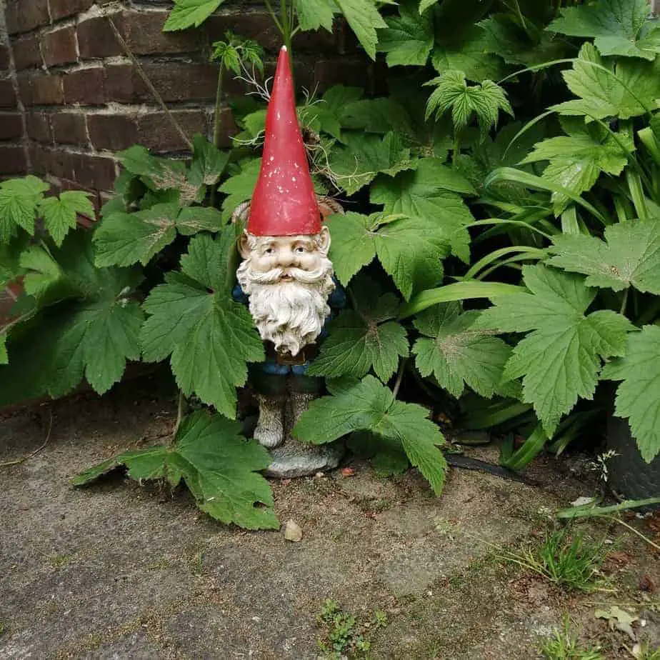 Tuinkabouter Rien Poortvliet