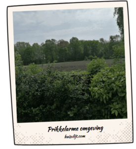 Prikkelarme omgeving